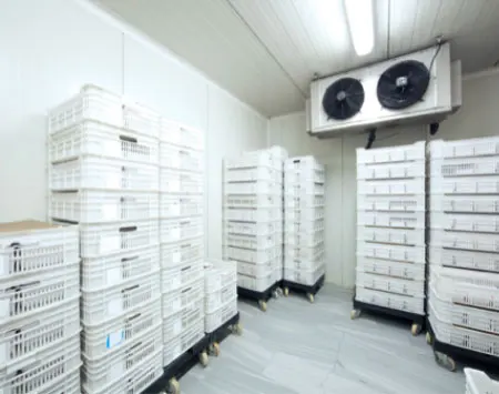 Vendita e installazione impianti di refrigerazione a catania